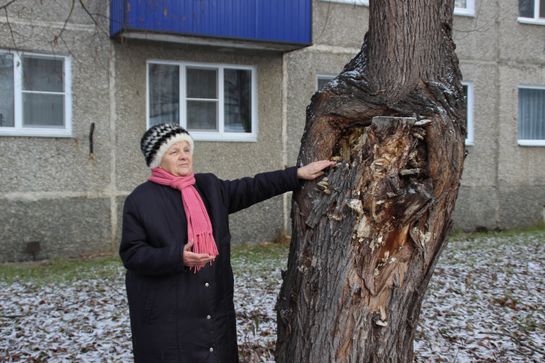 Зоя Прокофьевна Кудинова (ул. Дёмина, 14): Трухлявые деревья затеняют окна и корнями разрушают пешеходную дорожку.