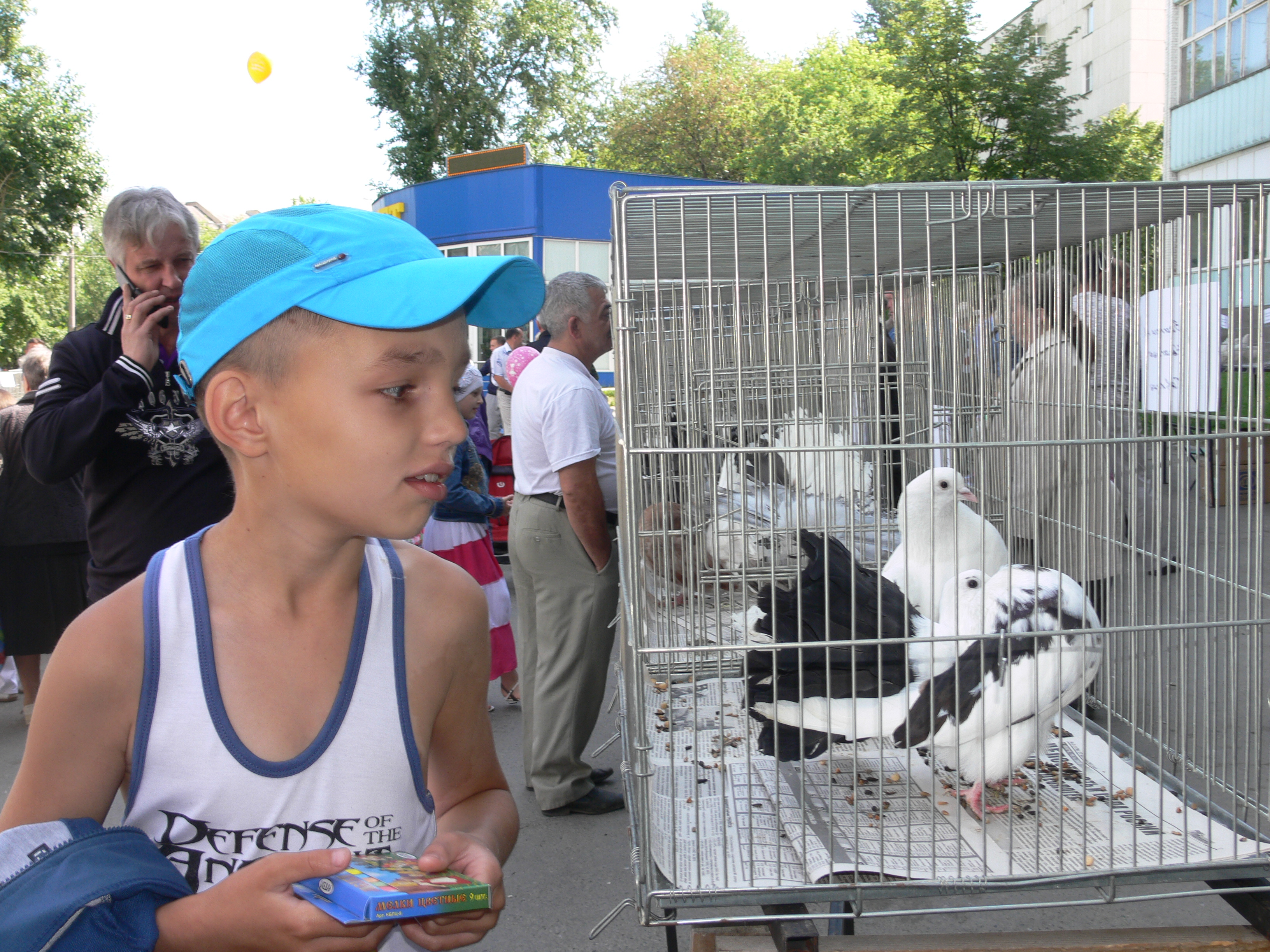 В Кыштыме празднование Дня города открывается выставкой голубей. Она начнёт работать с 10 часов.